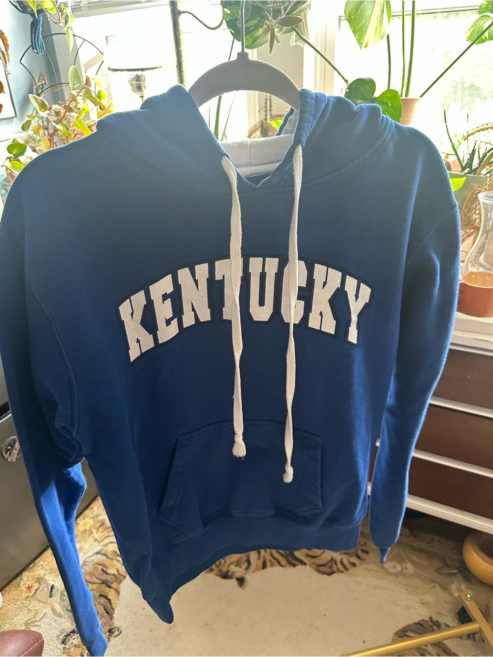 Kentucky Blue Pullover Hoodie - Unbranded